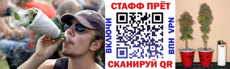 Виды наркотиков купить Пошехонье Cocaine  СОЛЬ  Кетамин  Меф  МАРИХУАНА 