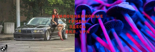 героин Алексин