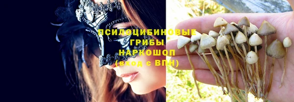 героин Алексин