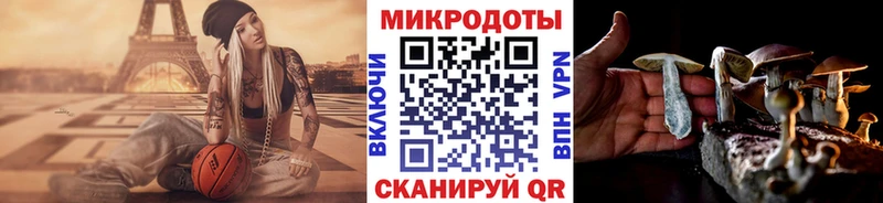 Псилоцибиновые грибы GOLDEN TEACHER цены наркотик Пошехонье